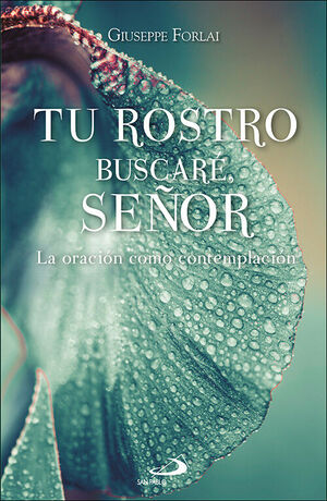 TU ROSTRO BUSCARE, SEÑOR