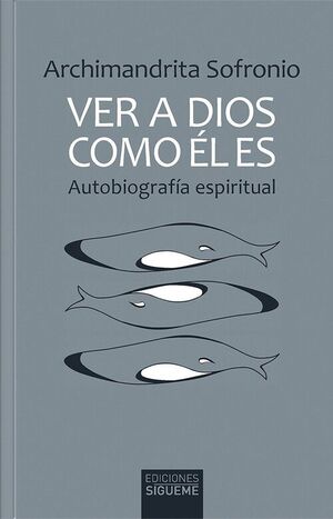 VER A DIOS COMO EL ES