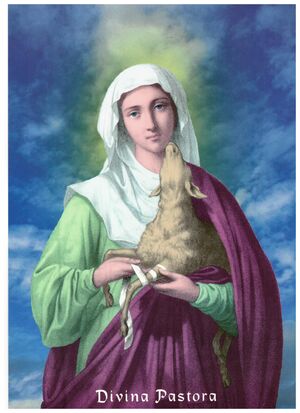 LAMINA DIVINA PASTORA 30X20